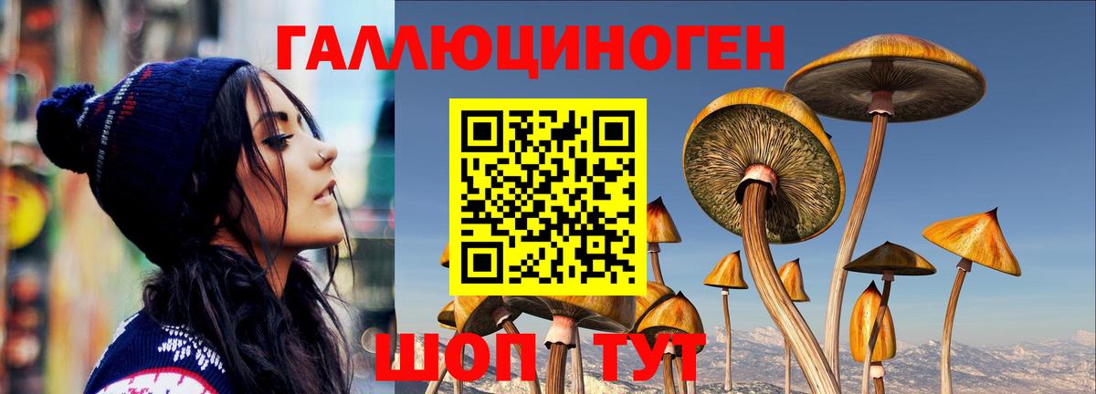 Ростов-на-Дону  Галлюциногенные грибы Psilocybe  Псилоцибиновые грибы Psilocybine cubensis  Вход с VPN 